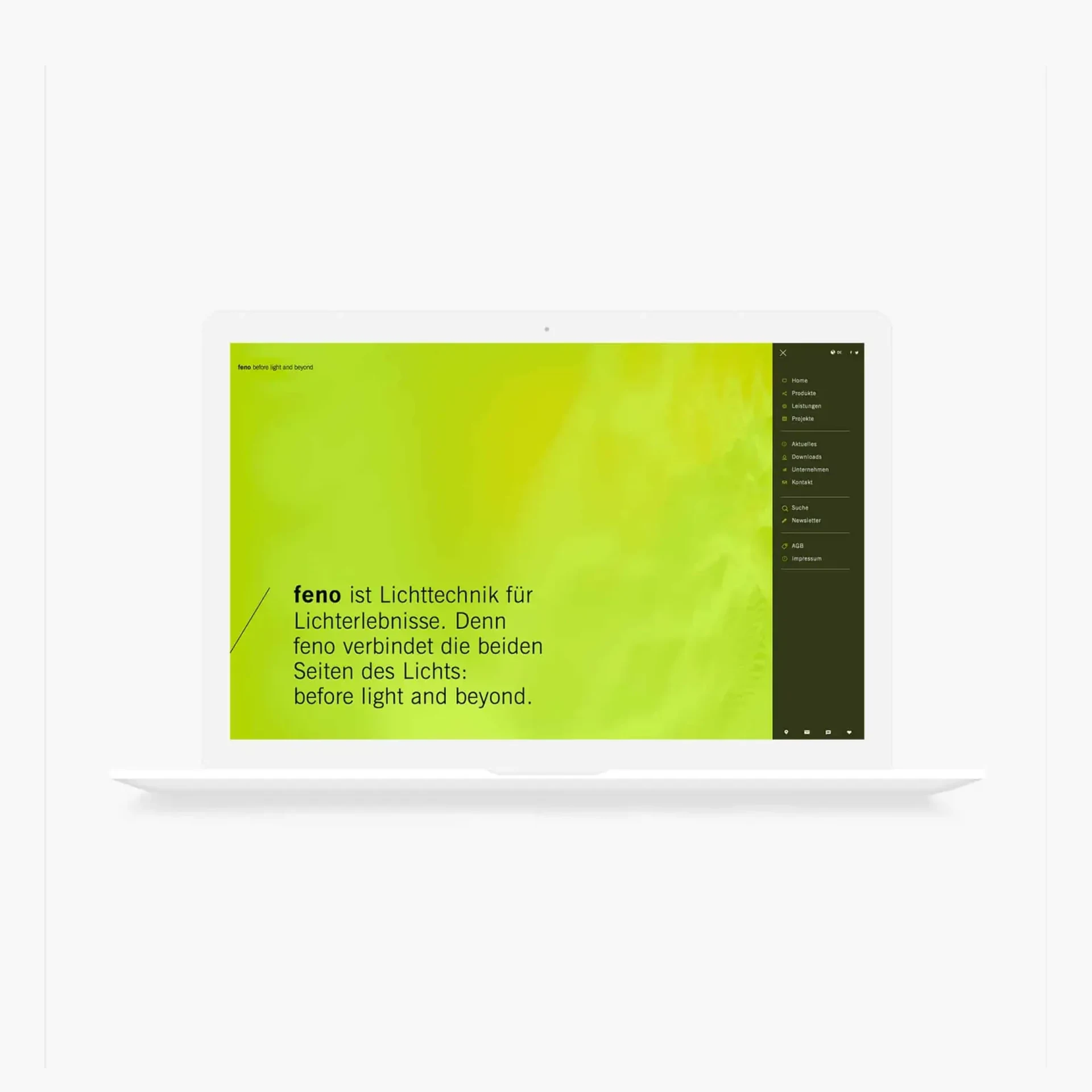 feno — Bild 1